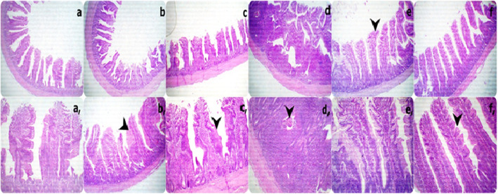 Fig. 3