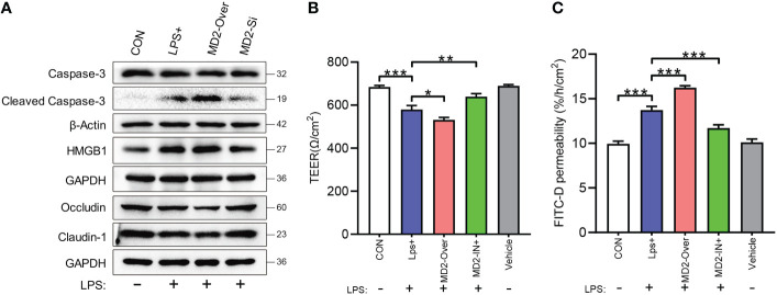 Figure 7