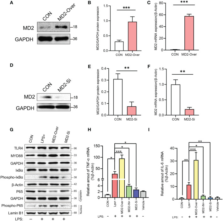 Figure 6