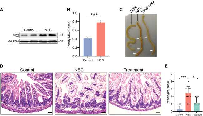 Figure 2