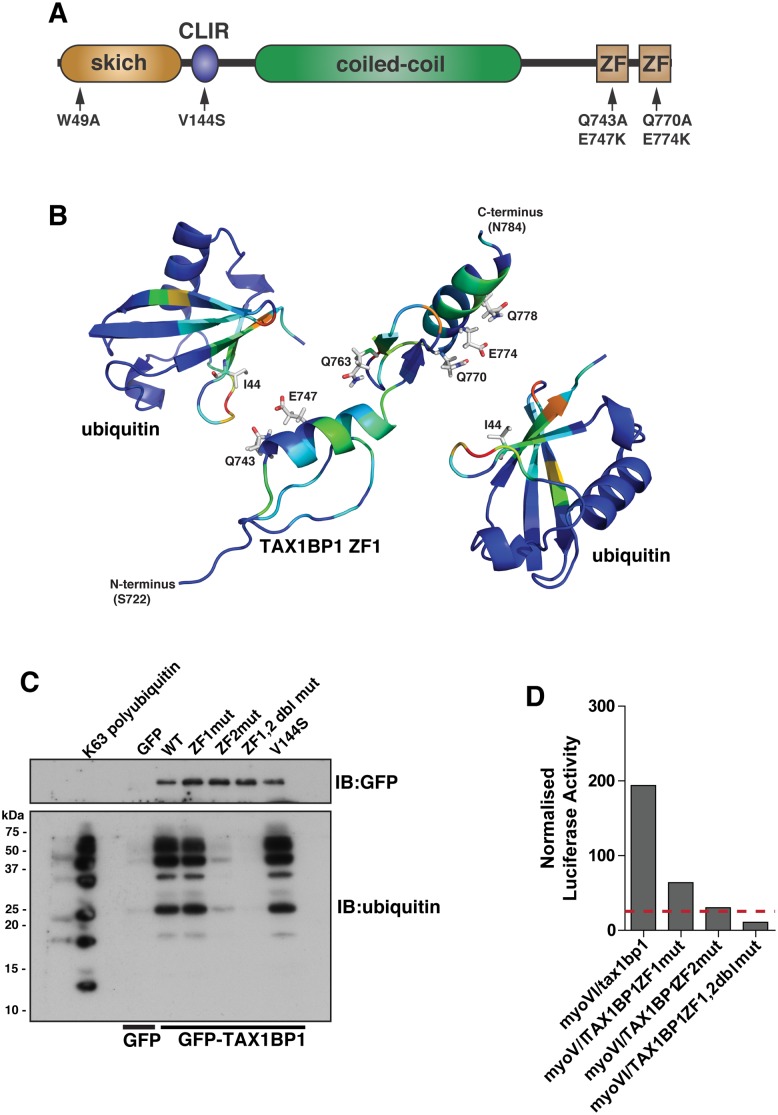 Fig 4