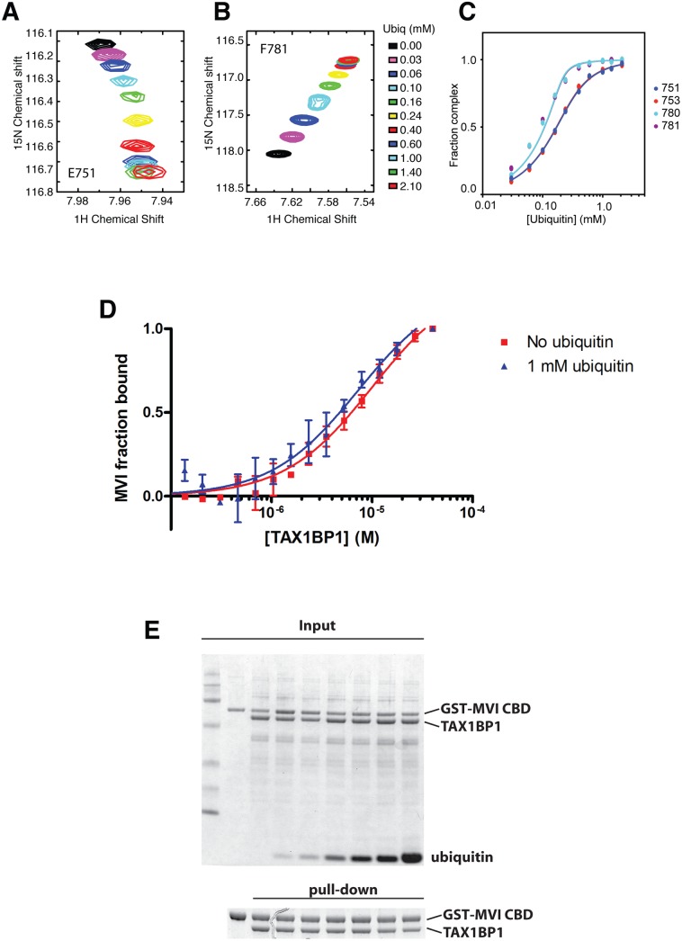 Fig 6