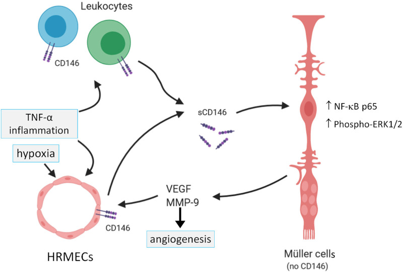 Figure 10.