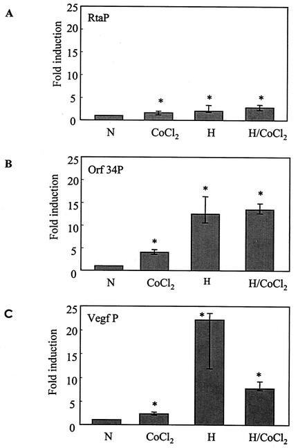 FIG. 1.