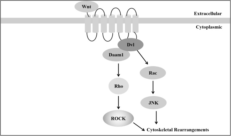 Fig. 4