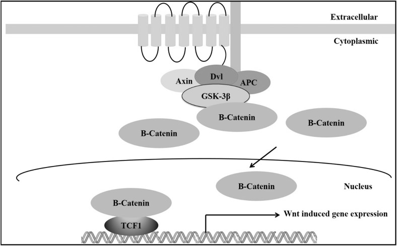 Fig. 3