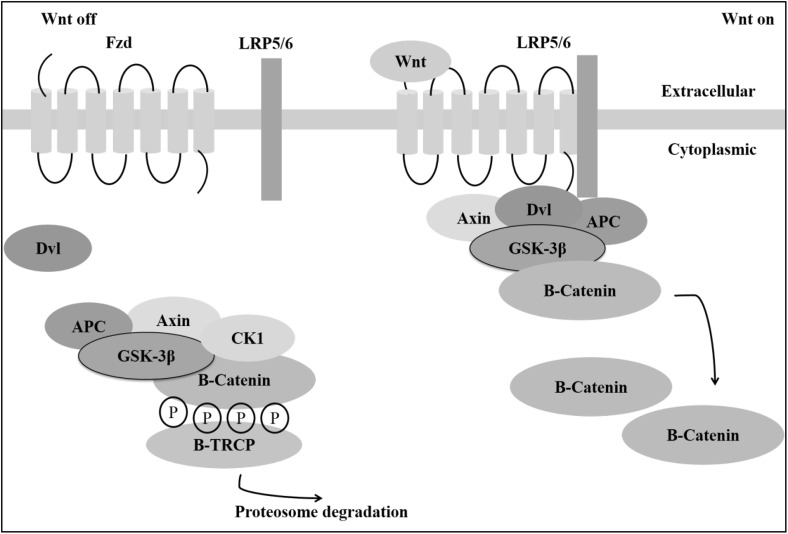 Fig. 2