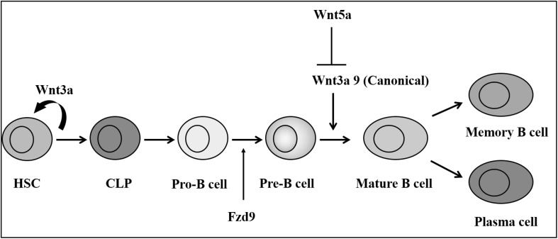 Fig. 7