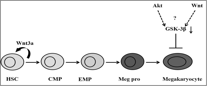 Fig. 8