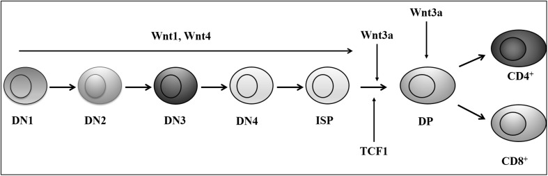 Fig. 6