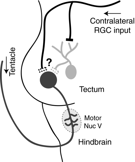 FIG. 8.