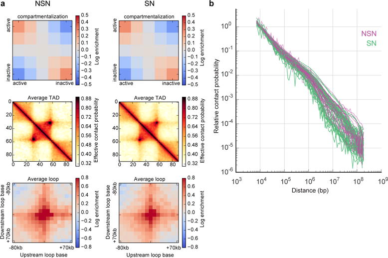 Extended Data Figure 7