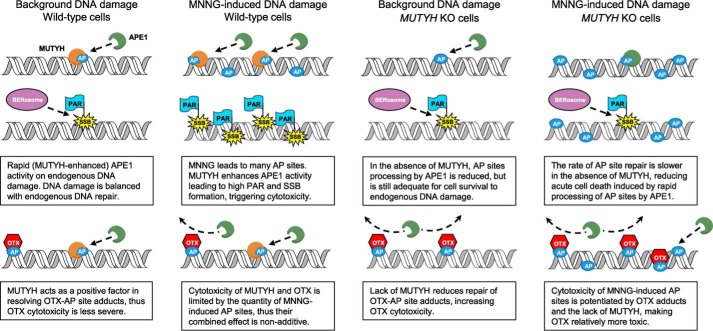 Figure 10.