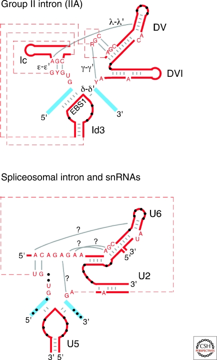 Figure 7.