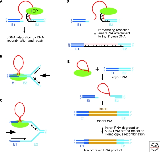 Figure 6.