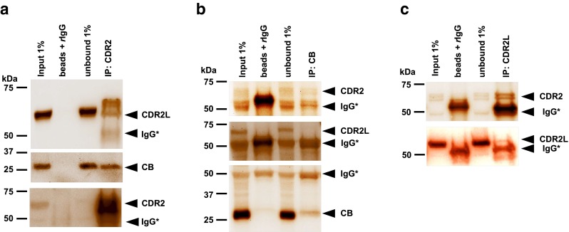 Fig. 4