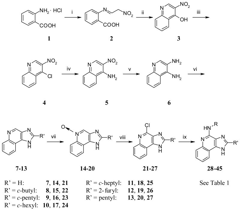 Scheme 1