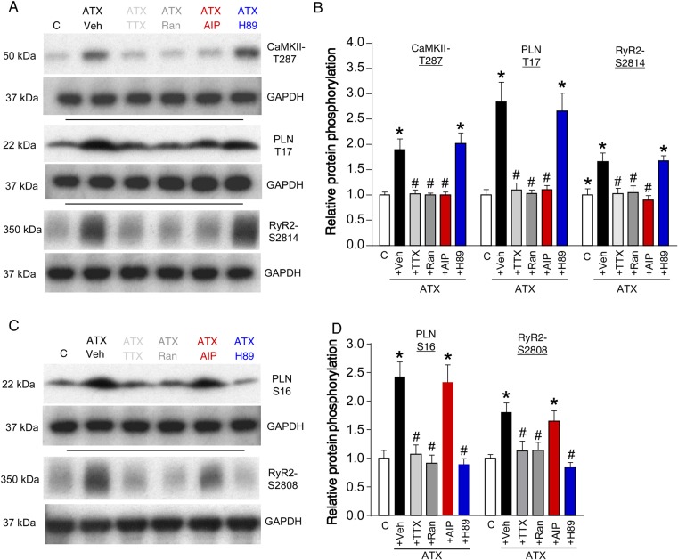 Figure 6