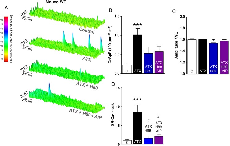 Figure 4