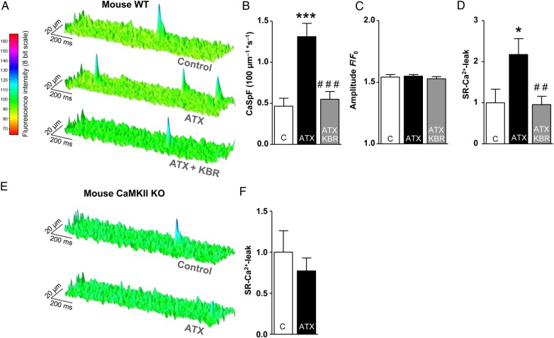 Figure 3