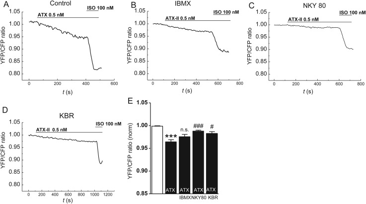 Figure 5