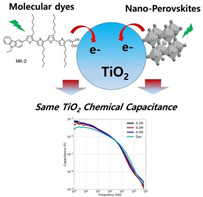 graphic file with name CSSC-13-2571-g006.jpg