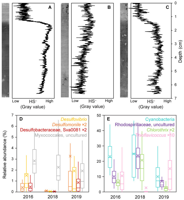 Fig. 6.