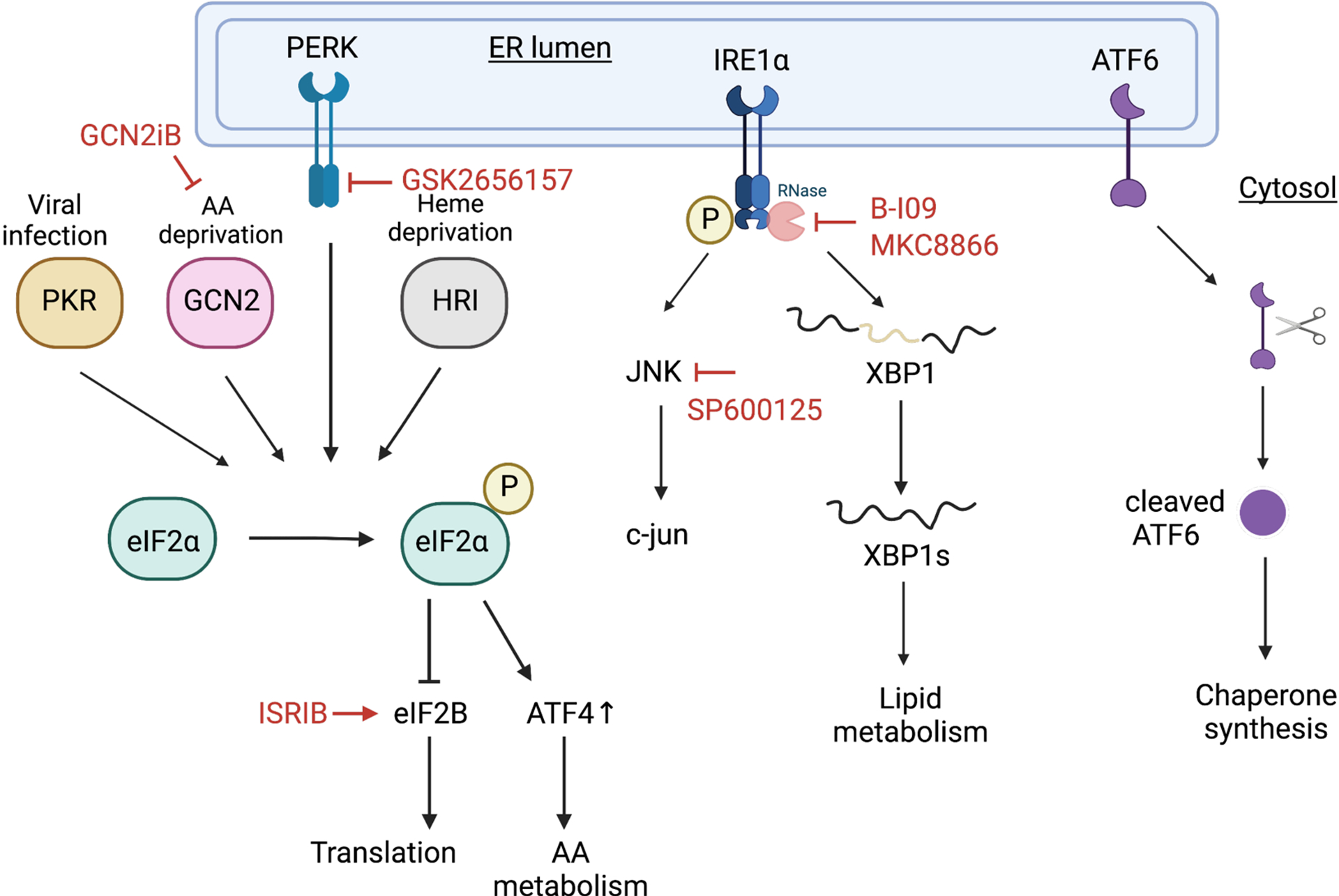 Figure 4: