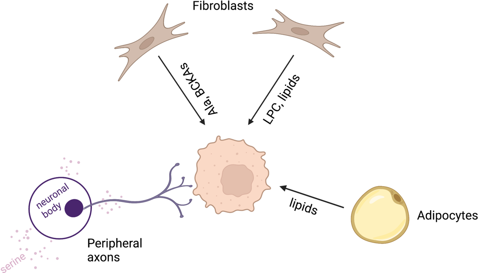 Figure 3: