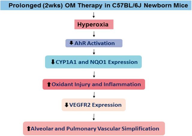 FIG. 10.