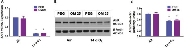 FIG. 9.