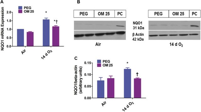 FIG. 8.