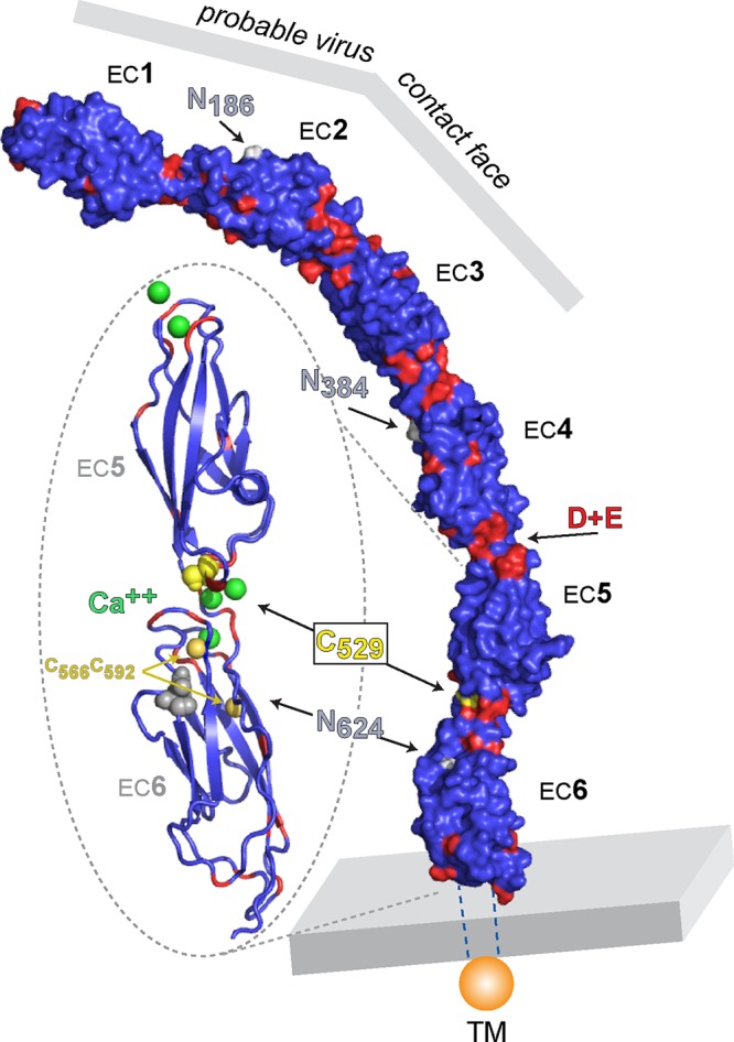 FIG 2