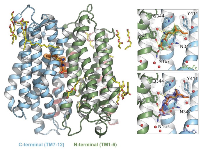 Figure 4—figure supplement 3.