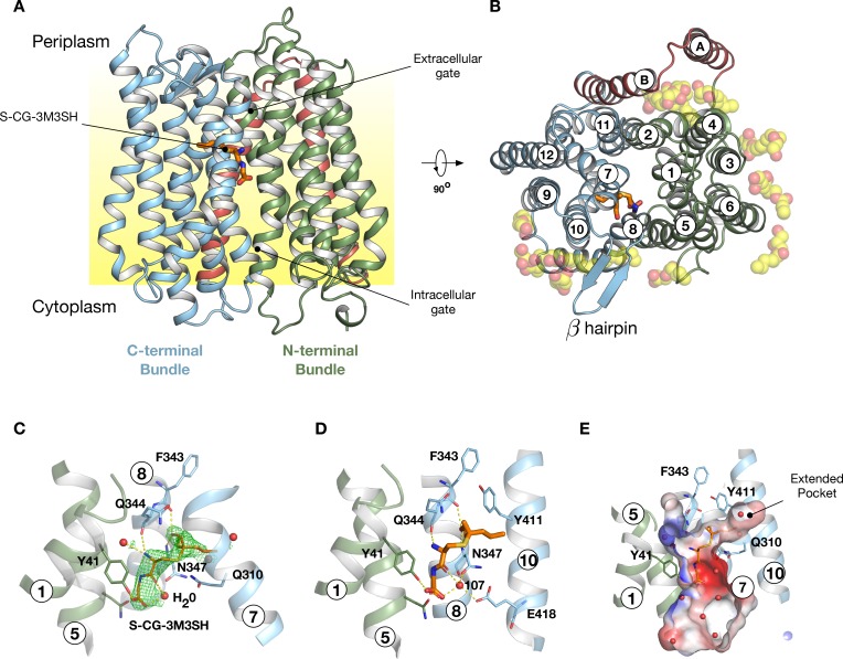 Figure 4.