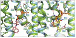 Figure 4—figure supplement 4.