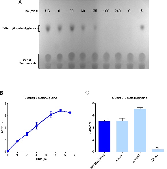 Figure 2—figure supplement 1.