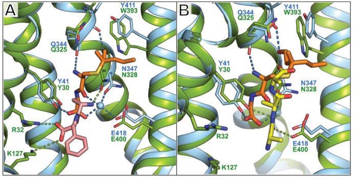 Figure 4—figure supplement 4.