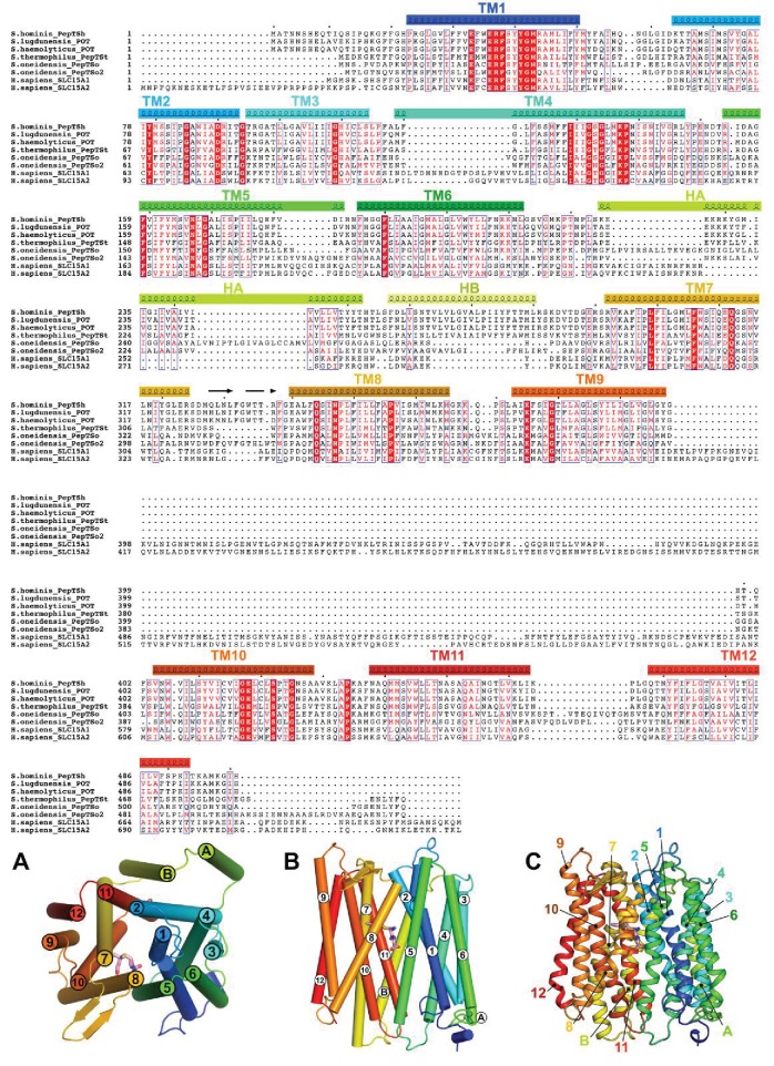 Figure 4—figure supplement 2.