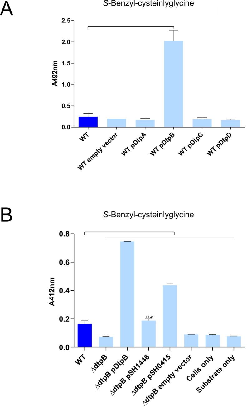 Figure 2—figure supplement 2.