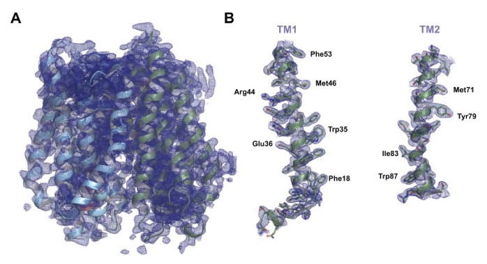 Figure 4—figure supplement 1.