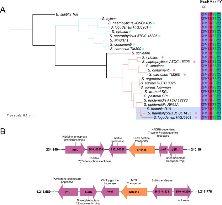 Figure 2—figure supplement 3.