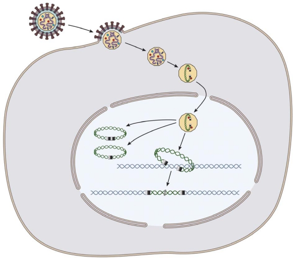 Figure 1.