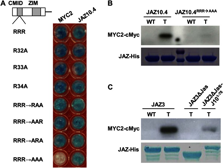 Figure 2.