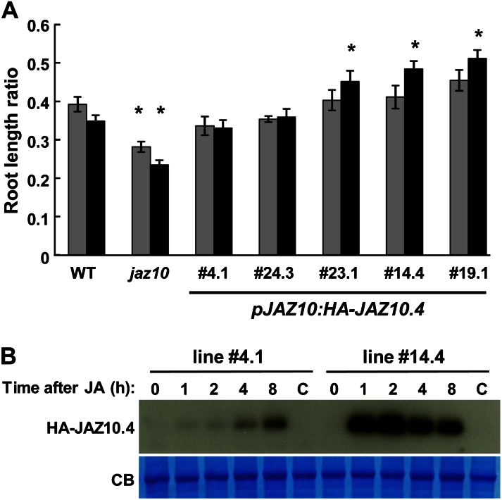 Figure 6.