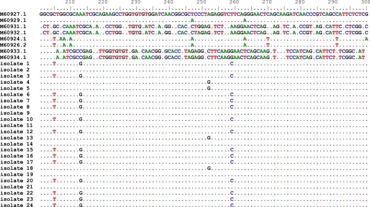 Figure 2.