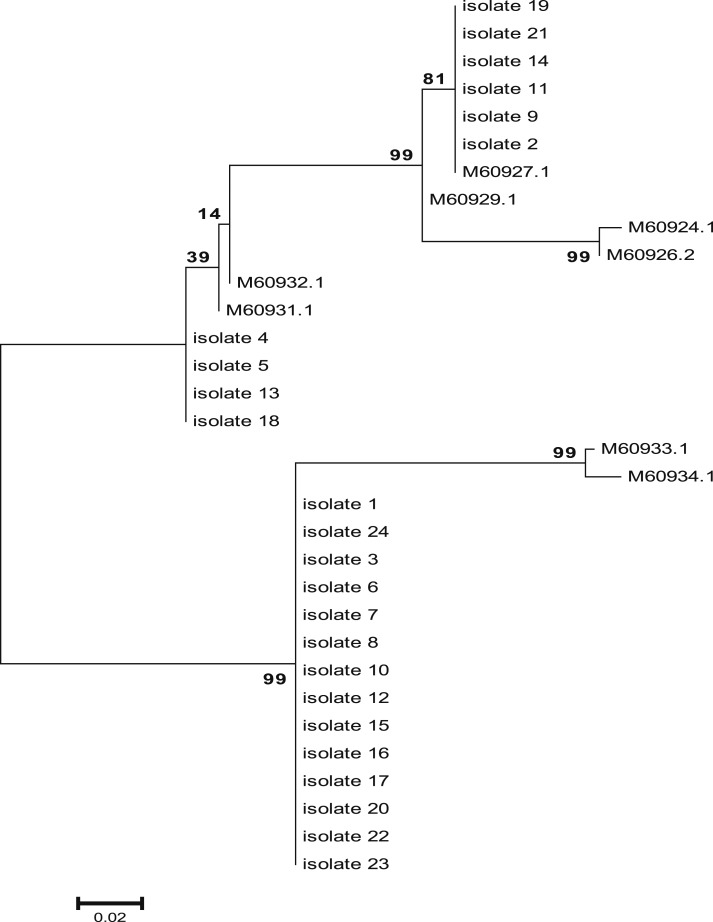 Figure 3.