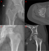 Fig. 4