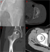 Fig. 5