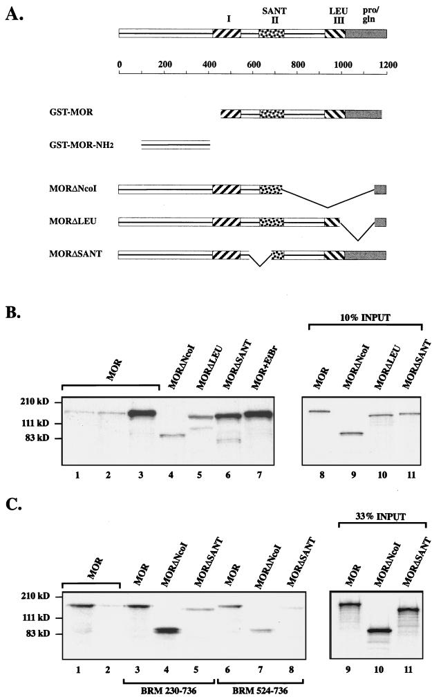 FIG. 8